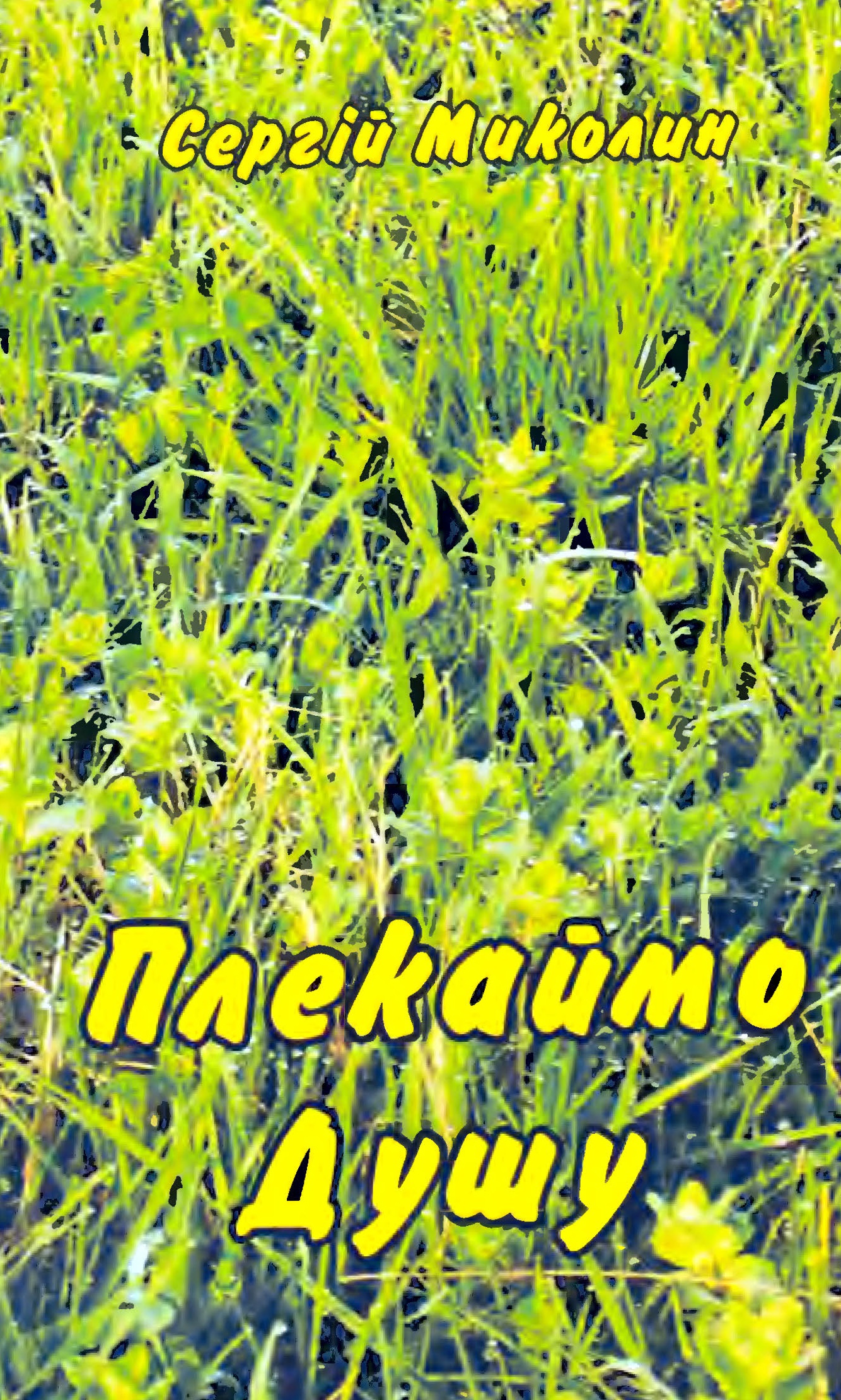 Обкладинка Плекаймо душу